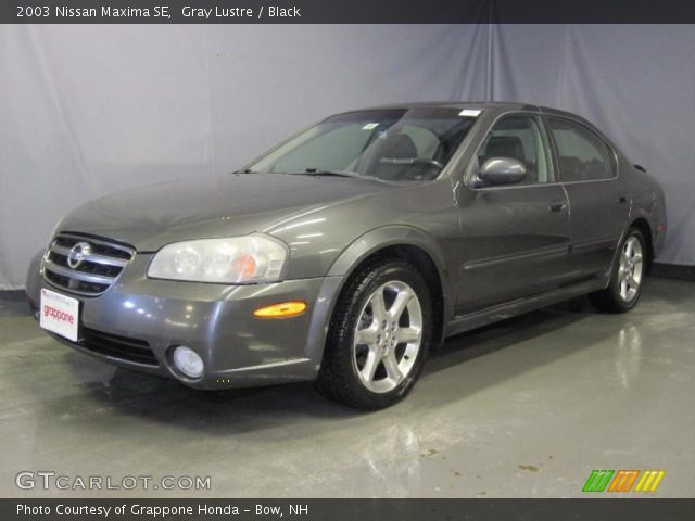 2003 Nissan Maxima SE in Gray Lustre