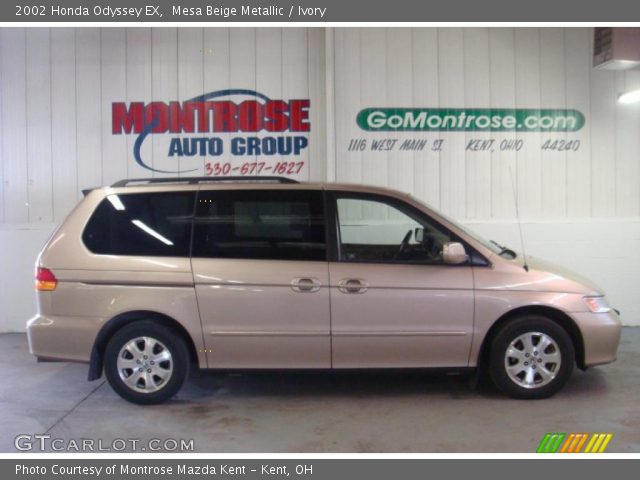 2002 Honda Odyssey EX in Mesa Beige Metallic