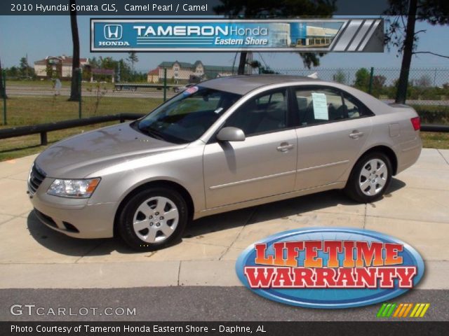 2010 Hyundai Sonata GLS in Camel Pearl