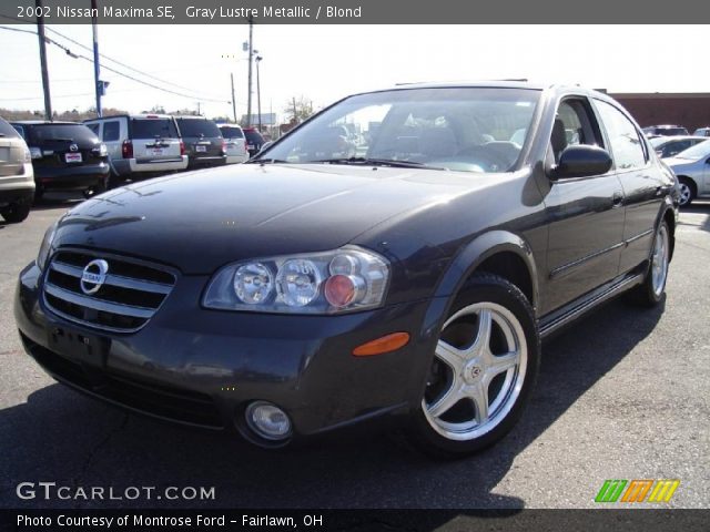 2002 Nissan Maxima SE in Gray Lustre Metallic
