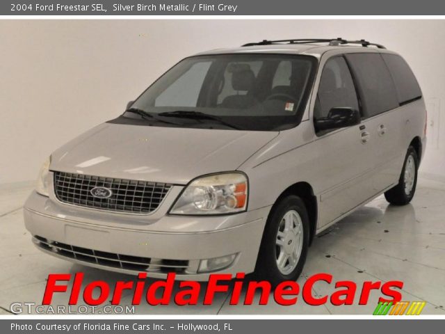 2004 Ford Freestar SEL in Silver Birch Metallic