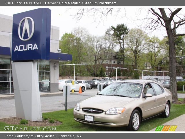 2001 Ford Taurus SEL in Harvest Gold Metallic