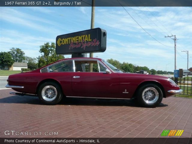 1967 Ferrari 365 GT 2+2  in Burgundy