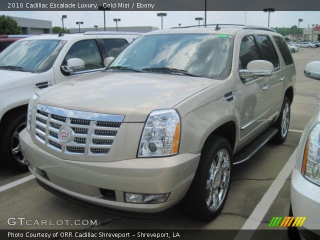2010 Cadillac Escalade Luxury in Gold Mist
