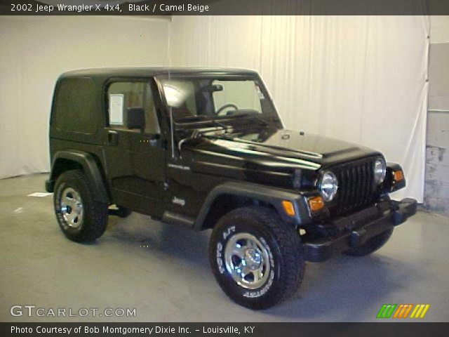 2002 Jeep Wrangler X 4x4 in Black