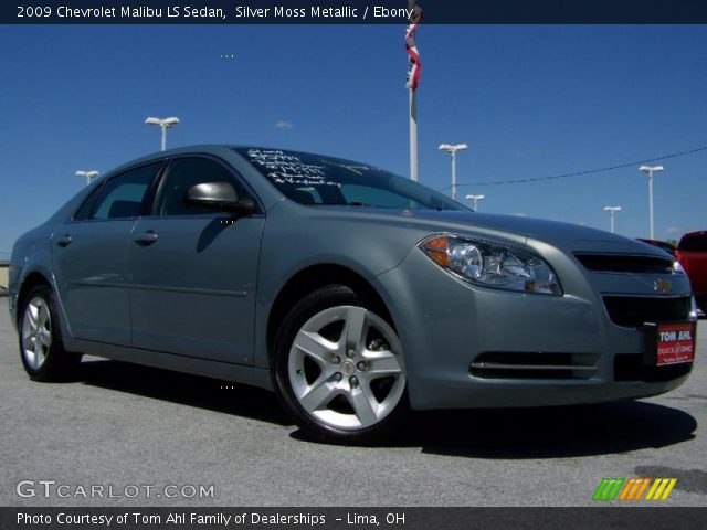 2009 Chevrolet Malibu LS Sedan in Silver Moss Metallic