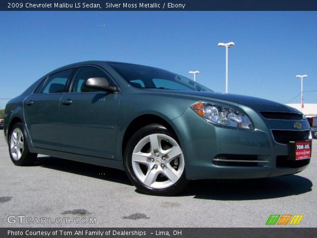 2009 Chevrolet Malibu LS Sedan in Silver Moss Metallic
