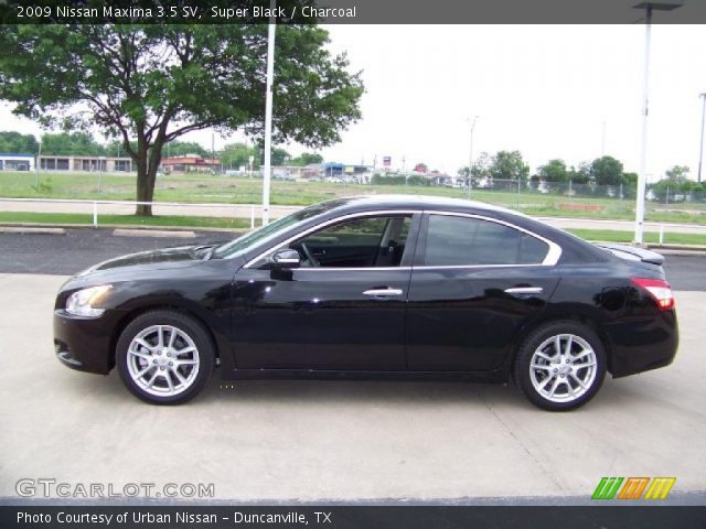 2009 Nissan Maxima 3.5 SV in Super Black