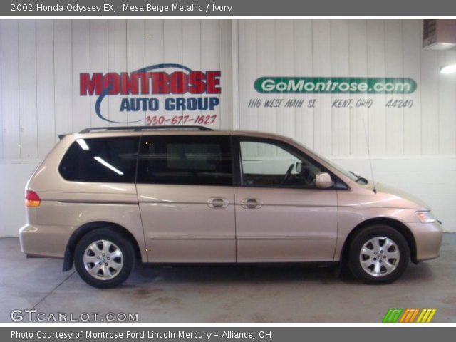 2002 Honda Odyssey EX in Mesa Beige Metallic