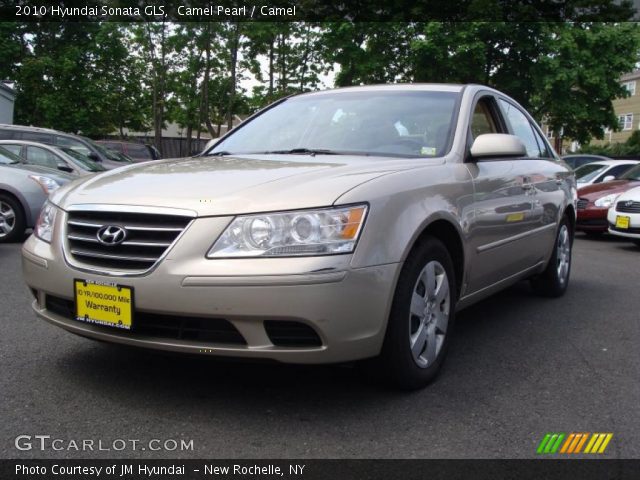 2010 Hyundai Sonata GLS in Camel Pearl