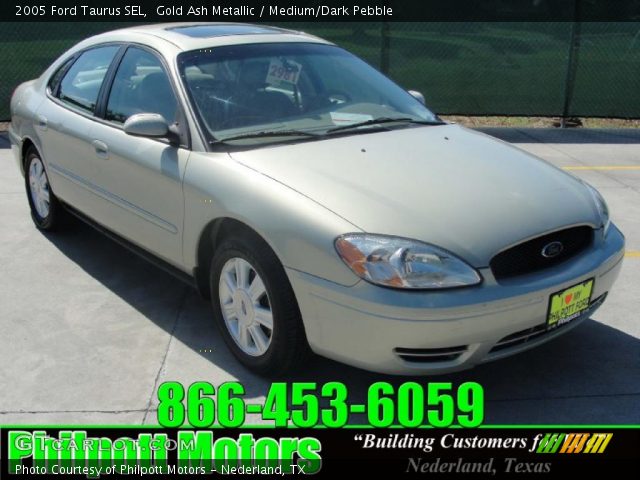 2005 Ford Taurus SEL in Gold Ash Metallic