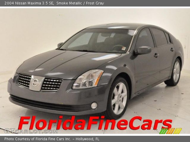 2004 Nissan maxima smoke metallic #5