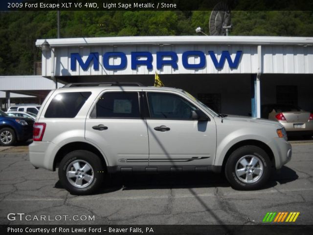 2009 Ford Escape XLT V6 4WD in Light Sage Metallic