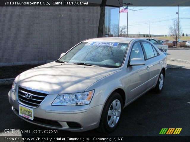 2010 Hyundai Sonata GLS in Camel Pearl