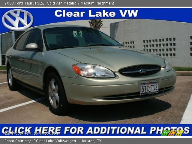 2003 Ford Taurus SES in Gold Ash Metallic