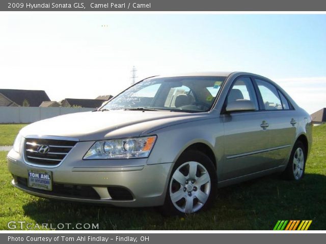 2009 Hyundai Sonata GLS in Camel Pearl