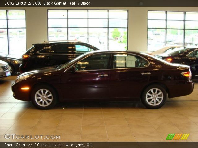 2003 Lexus ES 300 in Black Garnet Pearl