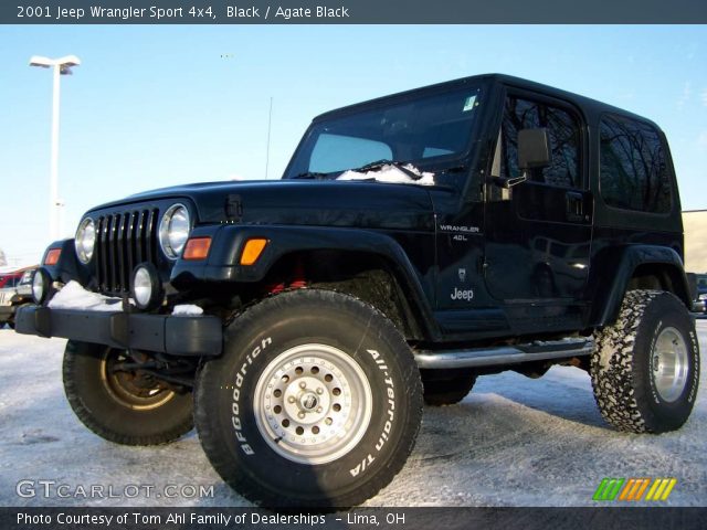 2001 Jeep Wrangler Sport 4x4 in Black