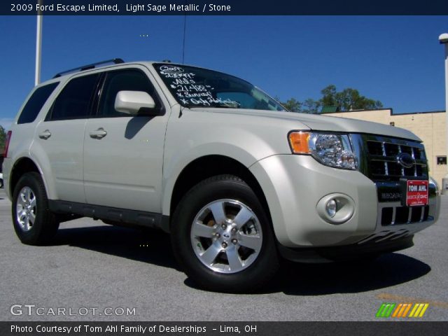 Light Sage Metallic 2009 Ford Escape Limited Stone