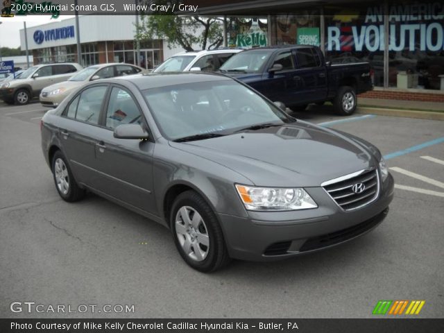 2009 Hyundai Sonata GLS in Willow Gray