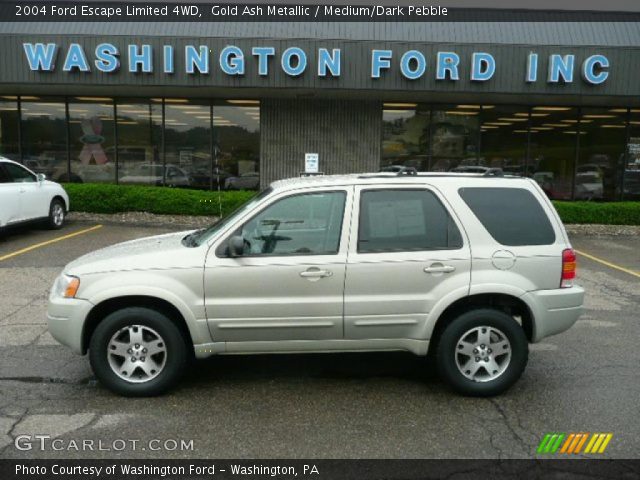 2004 Ford Escape Limited 4WD in Gold Ash Metallic