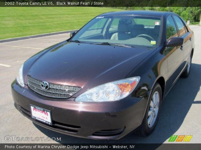 2002 Toyota Camry LE V6 in Black Walnut Pearl