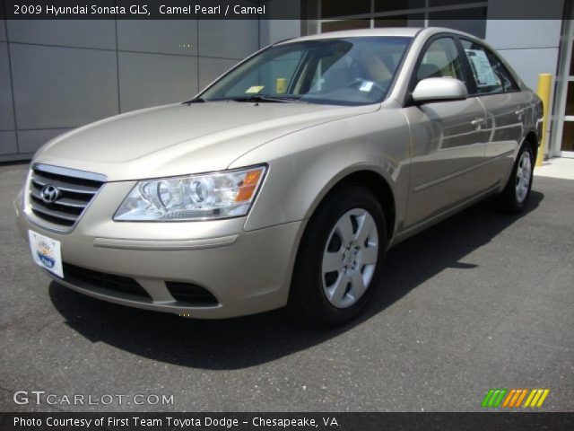 2009 Hyundai Sonata GLS in Camel Pearl