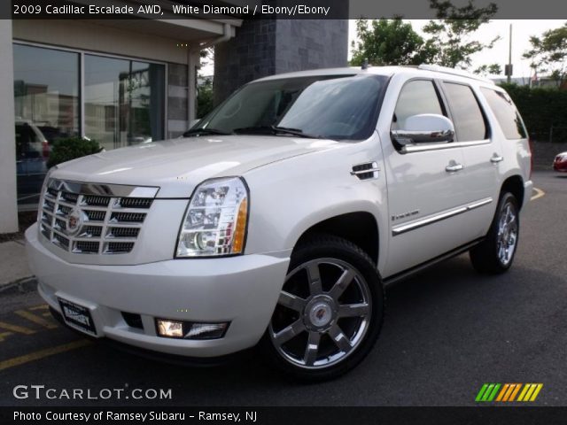 2009 Cadillac Escalade AWD in White Diamond