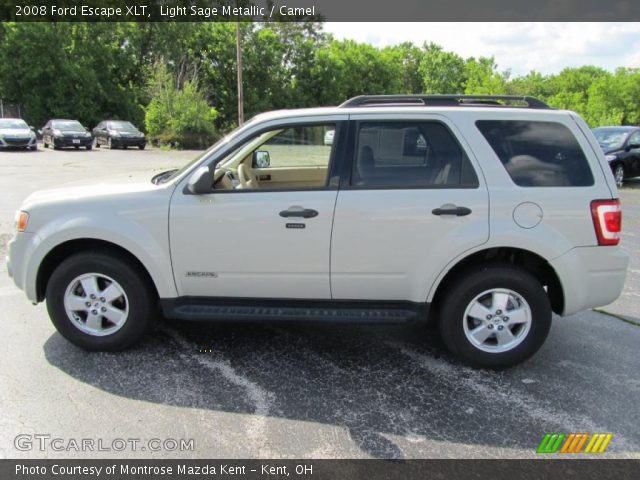 2008 Ford Escape XLT in Light Sage Metallic