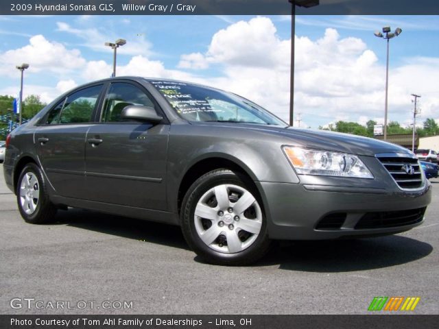 2009 Hyundai Sonata GLS in Willow Gray