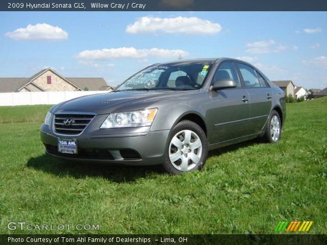 2009 Hyundai Sonata GLS in Willow Gray
