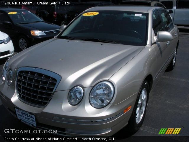 2004 Kia Amanti  in Cream Gold