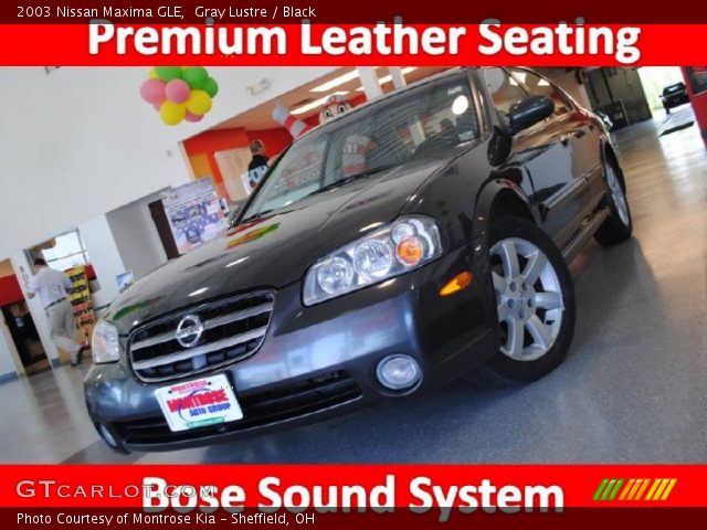 2003 Nissan Maxima GLE in Gray Lustre