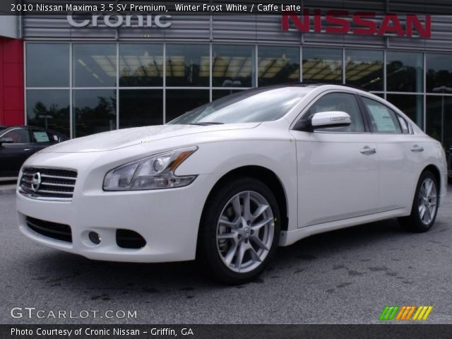 2010 Nissan Maxima 3.5 SV Premium in Winter Frost White