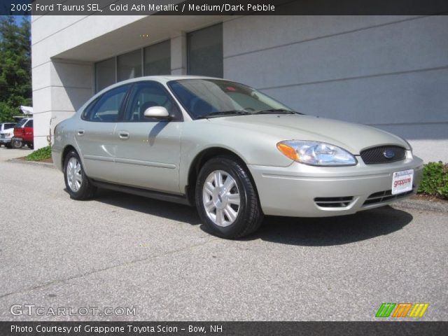 2005 Ford Taurus SEL in Gold Ash Metallic