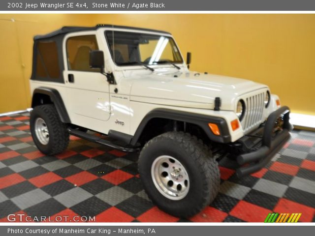 2002 Jeep Wrangler SE 4x4 in Stone White