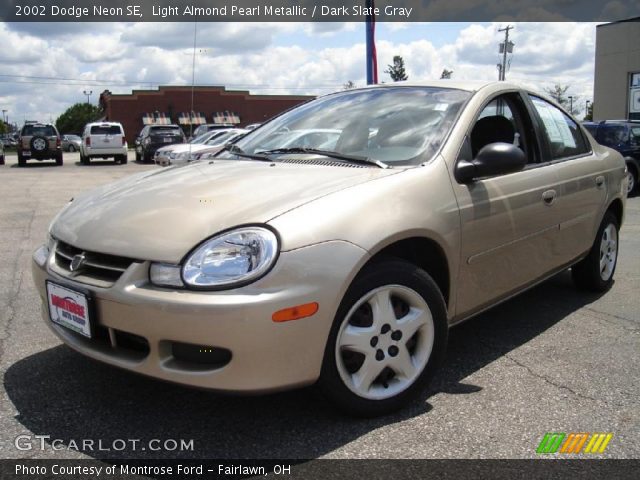 2002 Dodge Neon SE in Light Almond Pearl Metallic