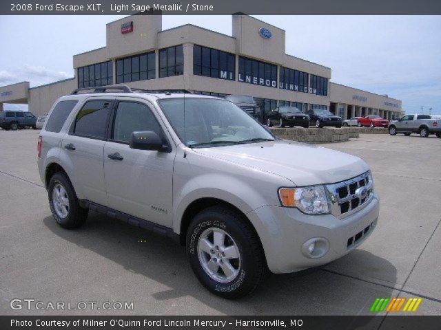 2008 Ford Escape XLT in Light Sage Metallic