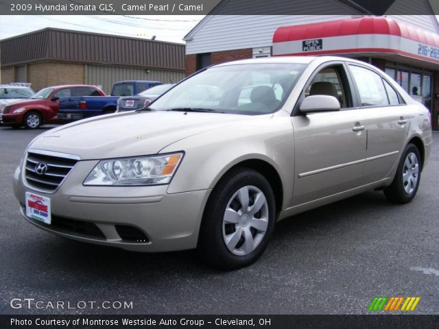 2009 Hyundai Sonata GLS in Camel Pearl