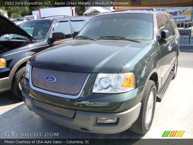 2003 Ford Expedition XLT in Aspen Green Metallic