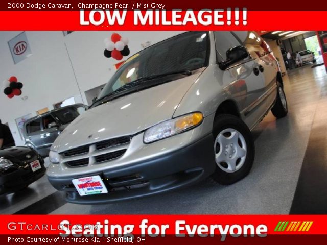 2000 Dodge Caravan  in Champagne Pearl