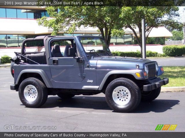 2001 Jeep Wrangler SE 4x4 in Steel Blue Pearl
