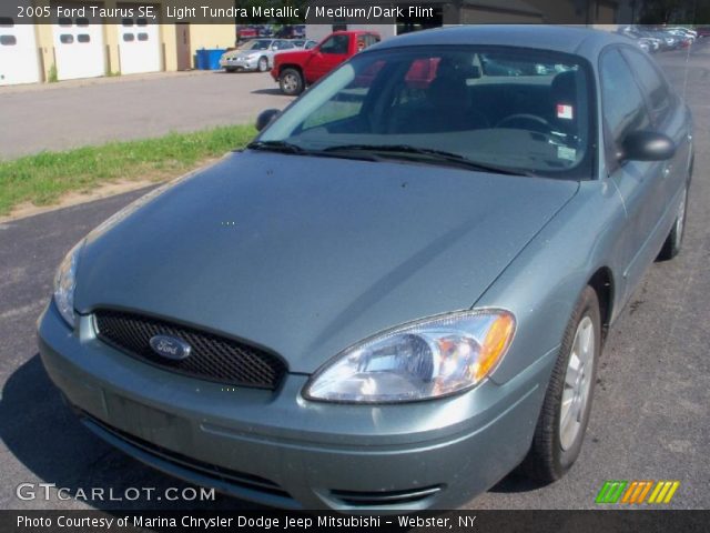 2005 Ford Taurus SE in Light Tundra Metallic