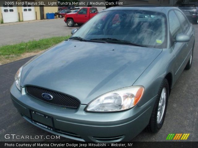 2005 Ford Taurus SEL in Light Tundra Metallic