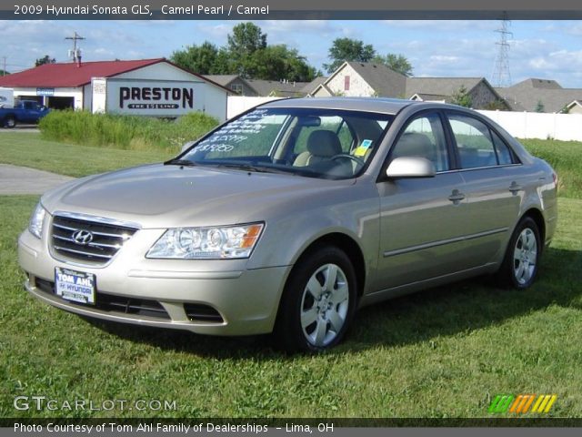 2009 Hyundai Sonata GLS in Camel Pearl
