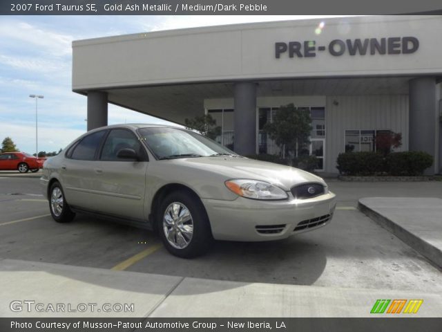 2007 Ford Taurus SE in Gold Ash Metallic