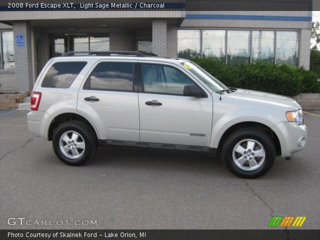 2008 Ford Escape XLT in Light Sage Metallic