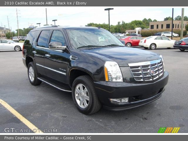 2010 Cadillac Escalade AWD in Black Ice