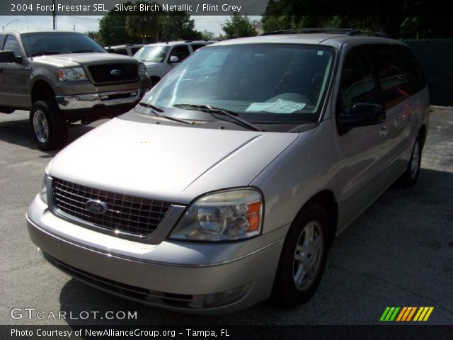 2004 Ford Freestar SEL in Silver Birch Metallic