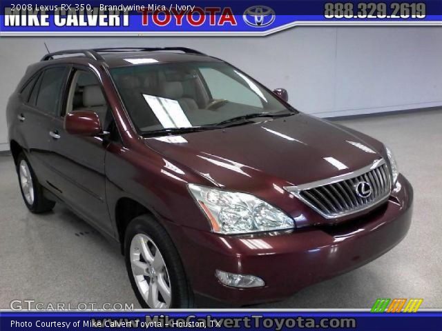 2008 Lexus RX 350 in Brandywine Mica